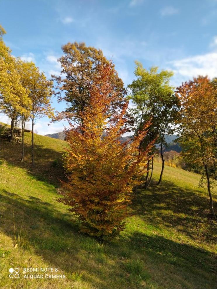 Agriturismo Fattoria Ortoalpino Trichiana Exterior foto