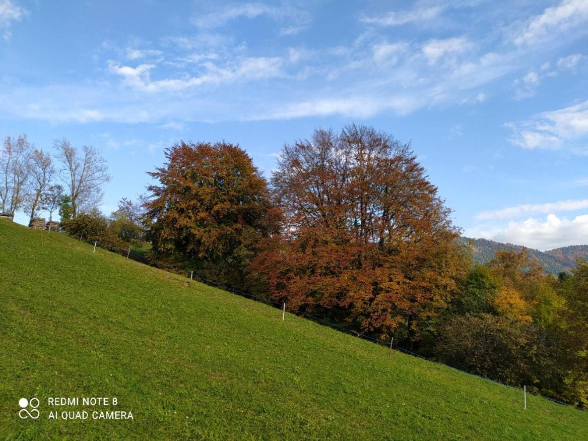 Agriturismo Fattoria Ortoalpino Trichiana Exterior foto